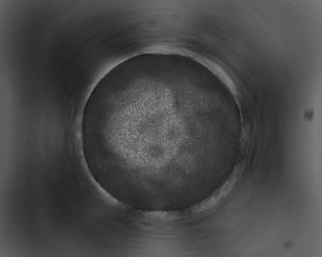 X0000102830855200809081153