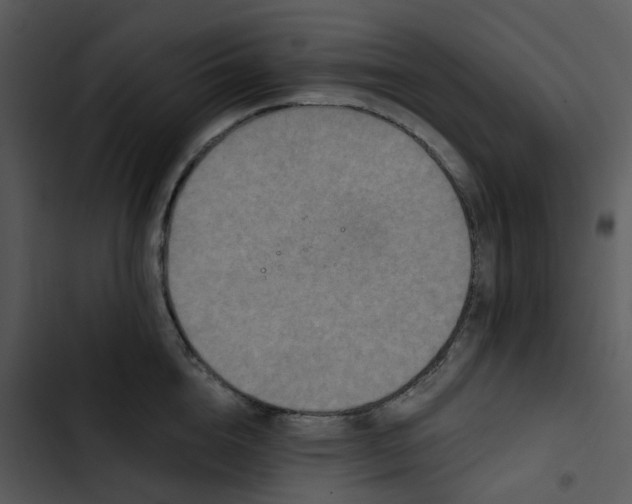 X0000102830856200809081153