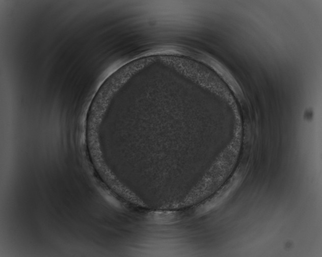 X0000102830858200809081153