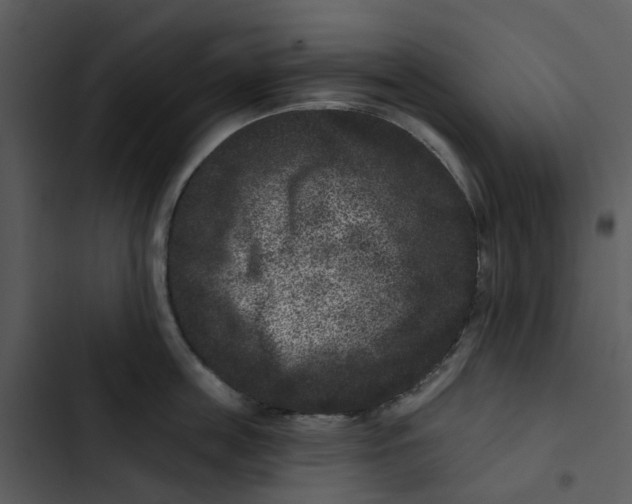 X0000102830859200809081153