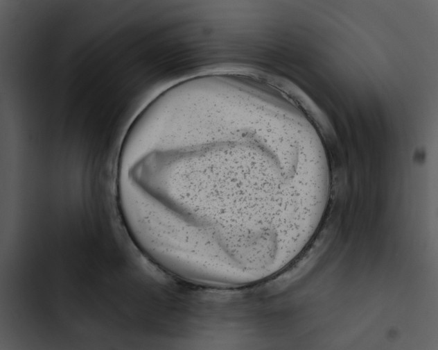 X0000102830860200809081153