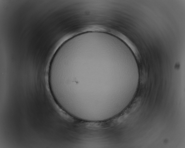 X0000102830861200809081153