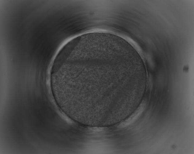 X0000102830862200809081153