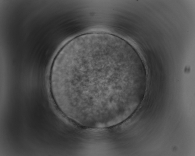 X0000102830864200809081154