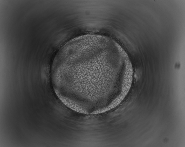 X0000102830867200809081153