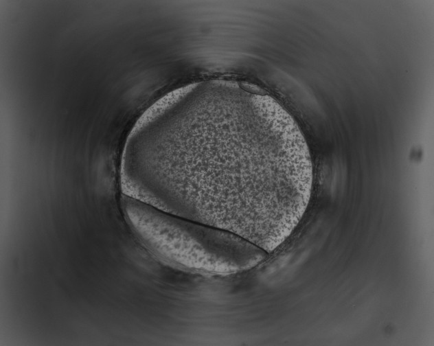 X0000102830868200809081153