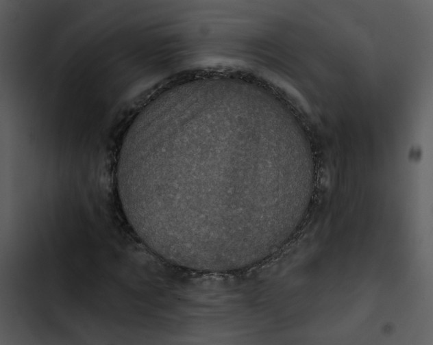 X0000102830869200809081153