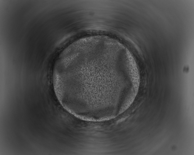 X0000102830870200809081153