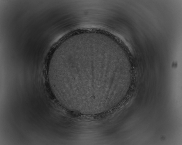 X0000102830871200809081153