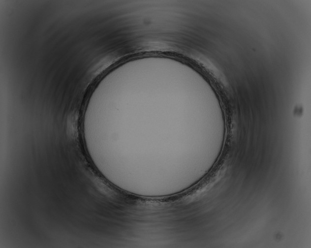 X0000102830873200809081153