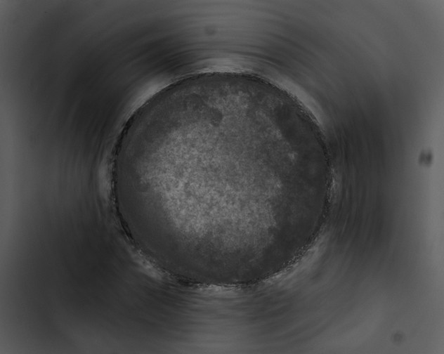 X0000102830874200809081153