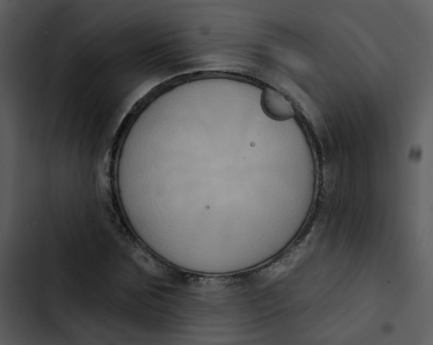 X0000102830875200809081153