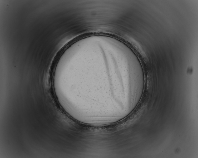 X0000102830876200809081153