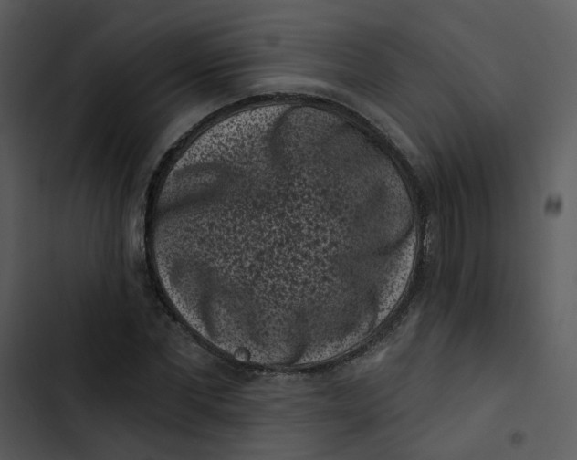 X0000102830877200809081153