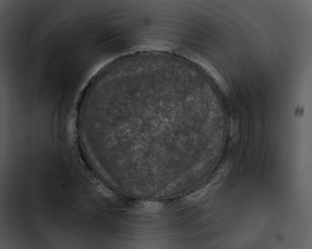 X0000102830878200809081153