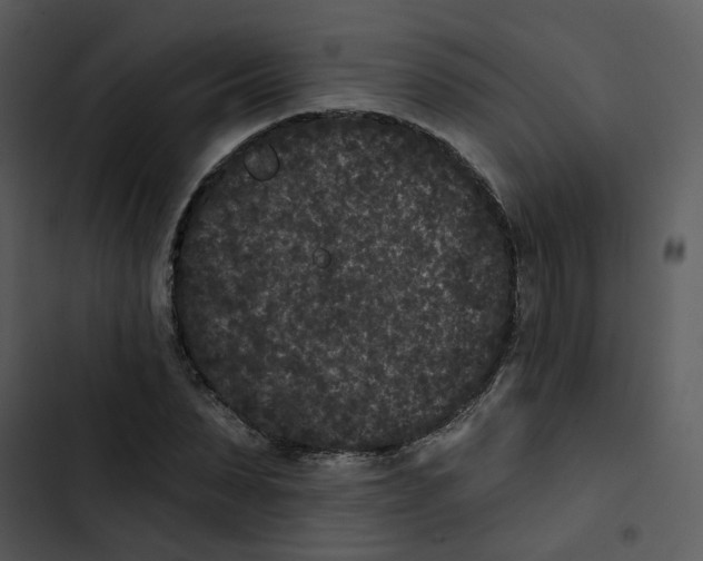 X0000102830879200809081153