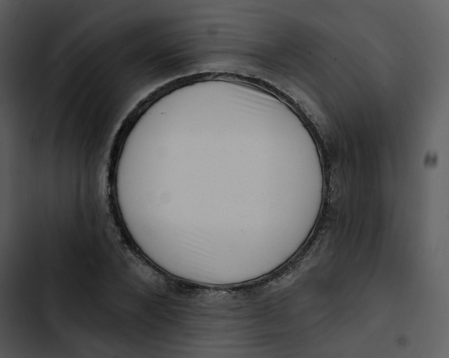 X0000102830880200809081153