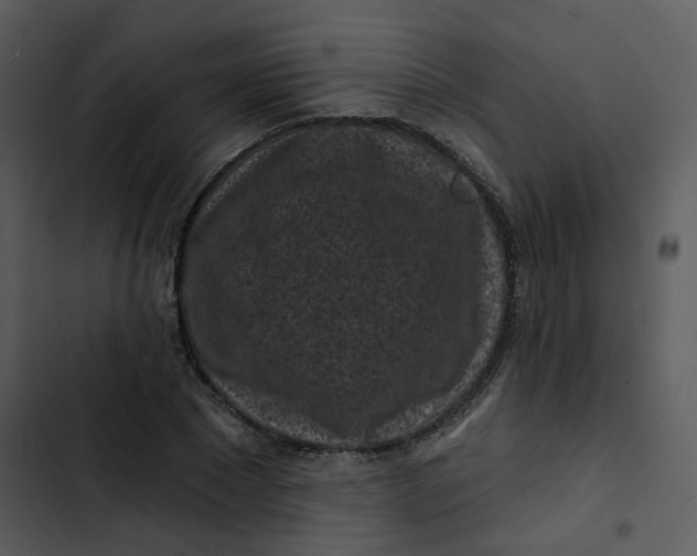 X0000102830881200809081153