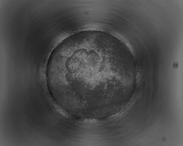 X0000102830882200809081153