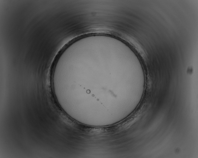 X0000102830883200809081153