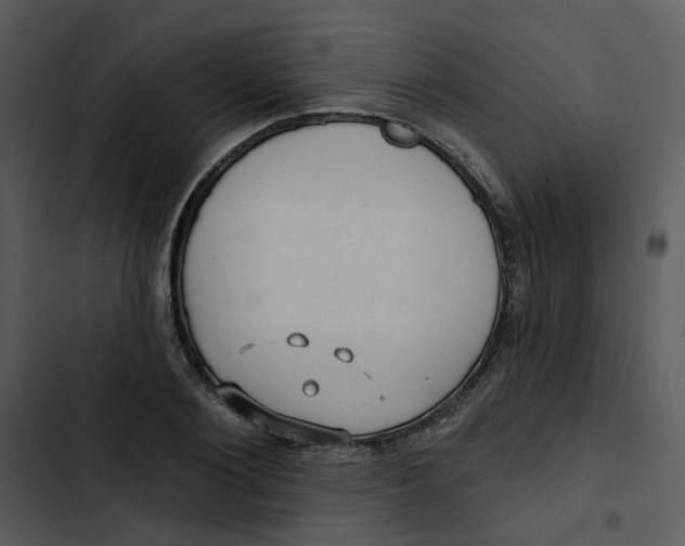 X0000102830884200809081153