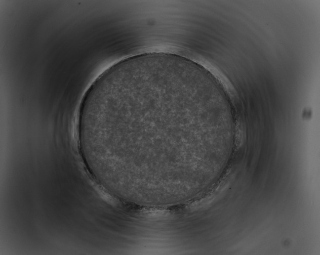 X0000102830886200809081153