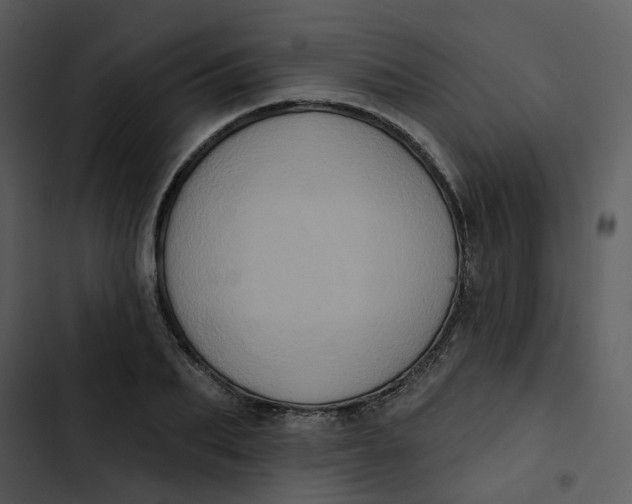 X0000102830887200809081153