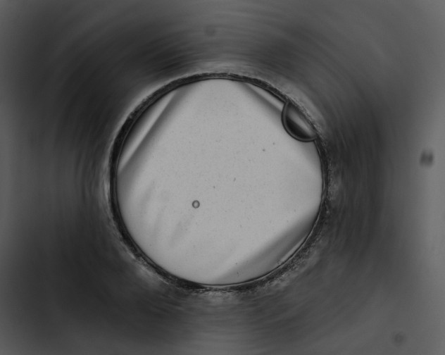 X0000102830888200809081153