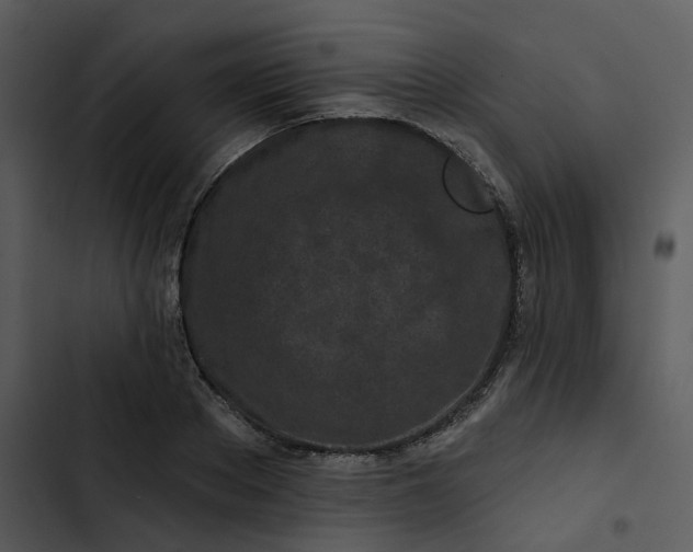 X0000102830889200809081153