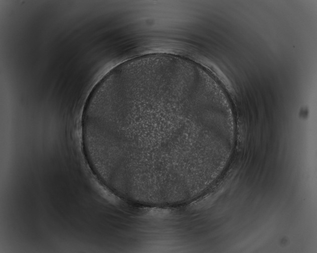 X0000102830890200809081153