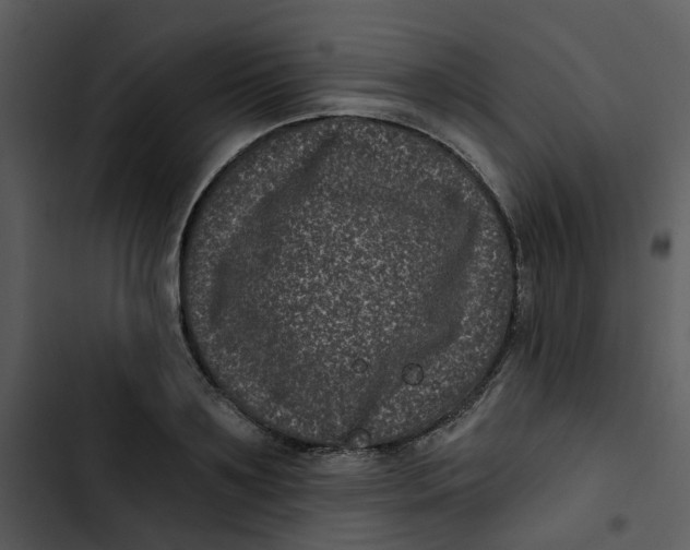 X0000102830891200809081152