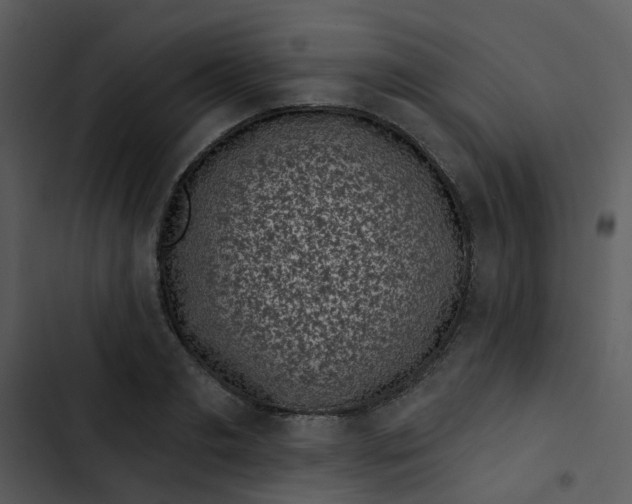 X0000102830893200809081152