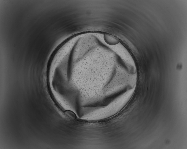 X0000102830894200809081152