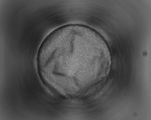 X0000102830895200809081152