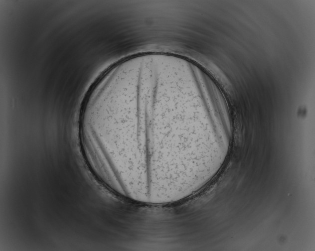 X0000102830896200809081152