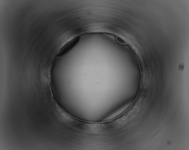 X0000102830897200809081152