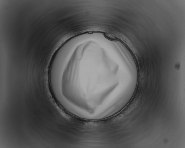 X0000102830898200809081152