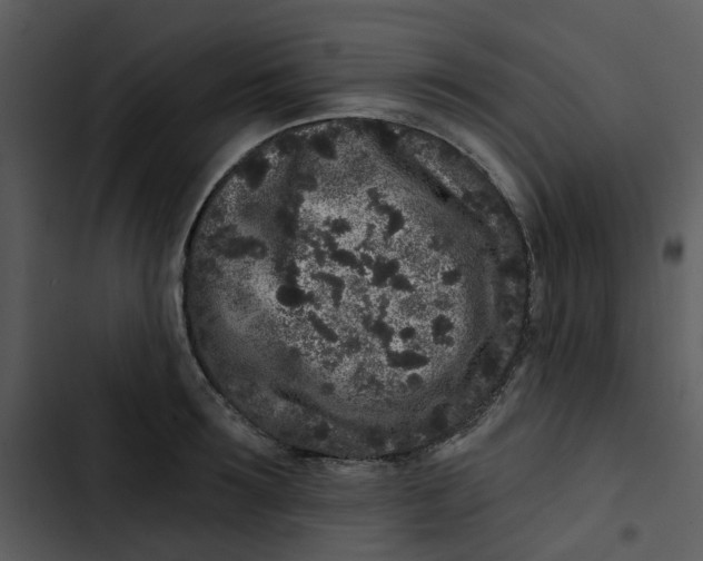 X0000102830899200809081152