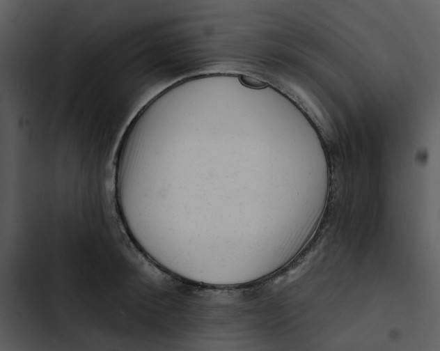 X0000102830900200809081152