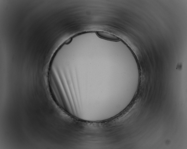 X0000102830901200809081152