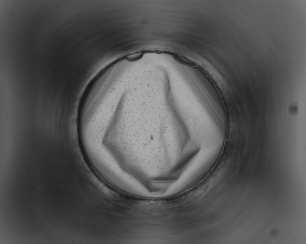 X0000102830902200809081152