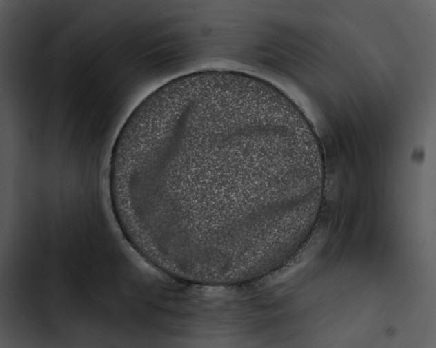 X0000102830903200809081152