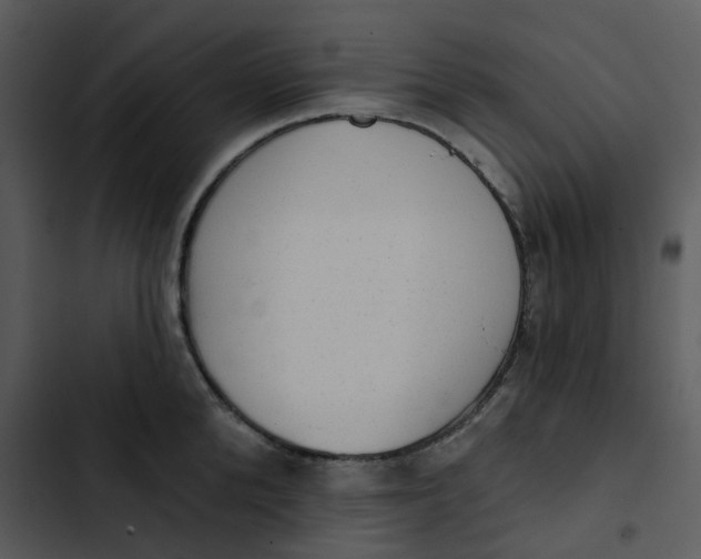 X0000102830904200809081152