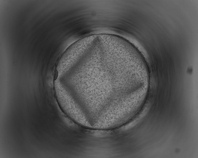 X0000102830905200809081152