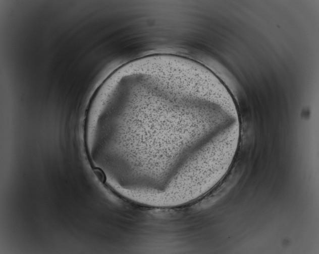 X0000102830906200809081152