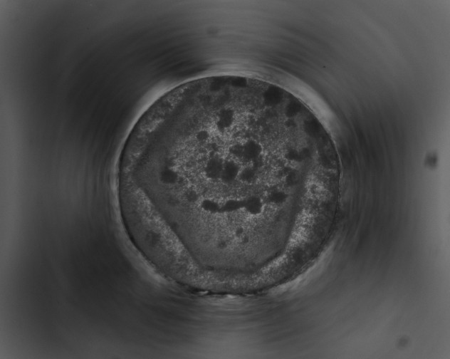 X0000102830907200809081152