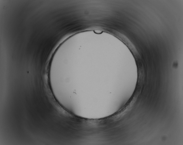 X0000102830908200809081152