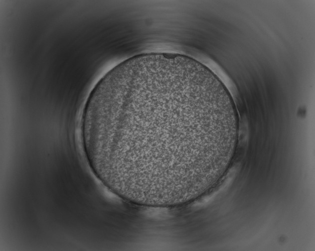 X0000102830909200809081152