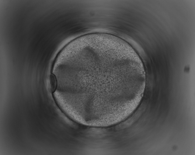 X0000102830910200809081152