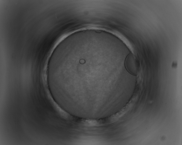 X0000102830911200809081152